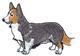 Dog & Cat