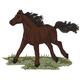 Horse & Western