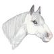 Horse & Western