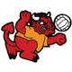 Mascots