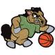 Mascots