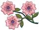 Floral